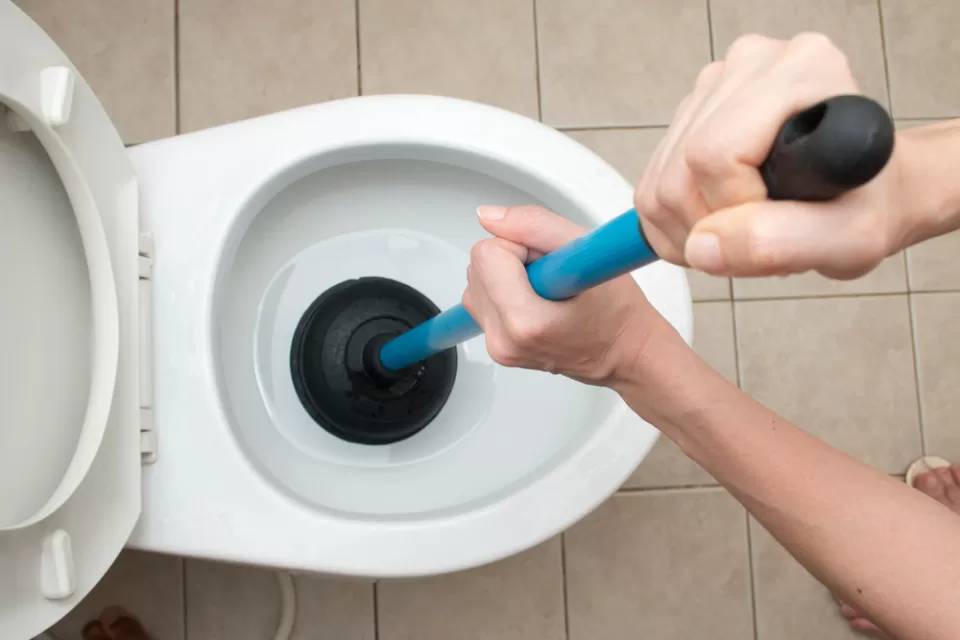 Plunger
